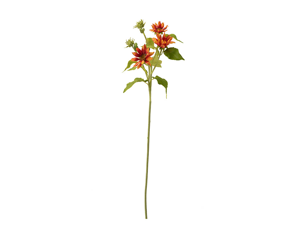Sunflower Stem, Orange