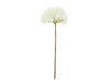 Hydrangea Stem, White