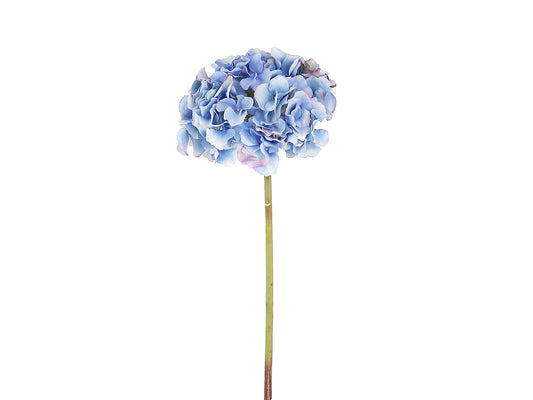 Hydrangea Stem, Blue