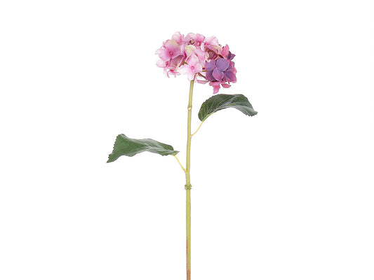 Hydrangea Stem, Pink