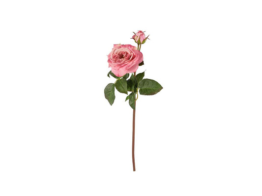 Garden Rose Stem, Pink Fresh Touch