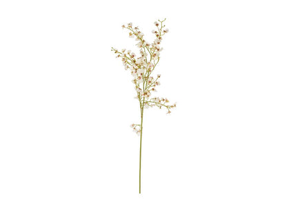 Dancing Oncidium Stem, White