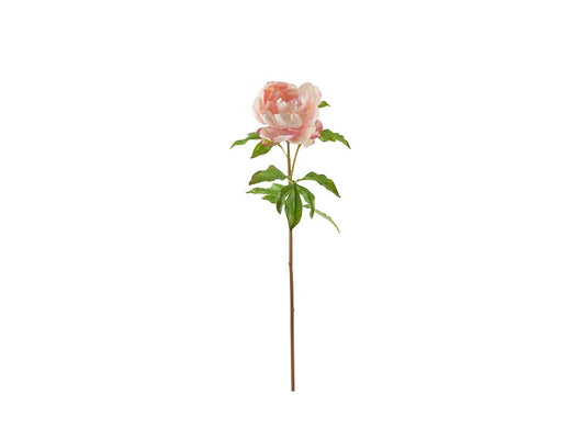 Peony Stem, Pink Fresh Touch