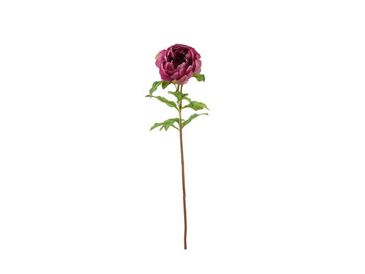 Peony Stem, Fuchsia Fresh Touch