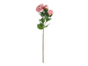 Camellia X3 Blooms Stem, Pink