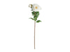 Camellia X3 Blooms Stem, White