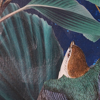 Evening Song Artwork