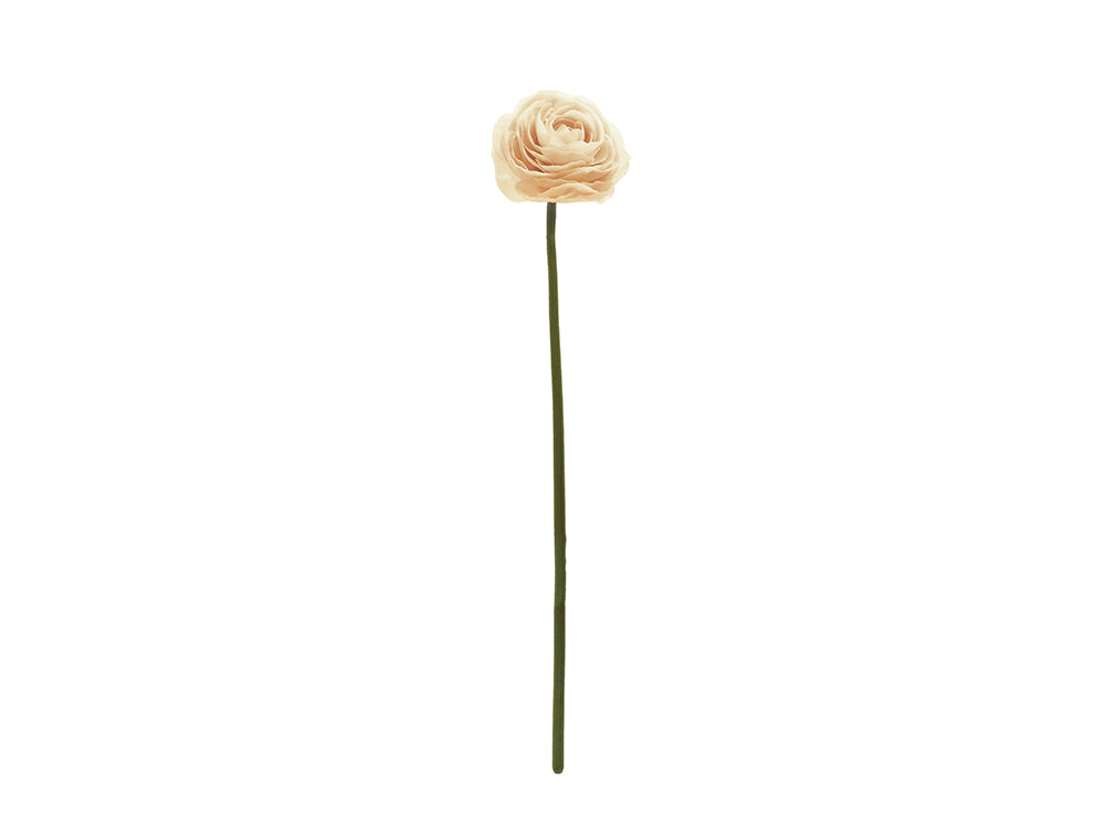 Ranunculus Stem, Pink