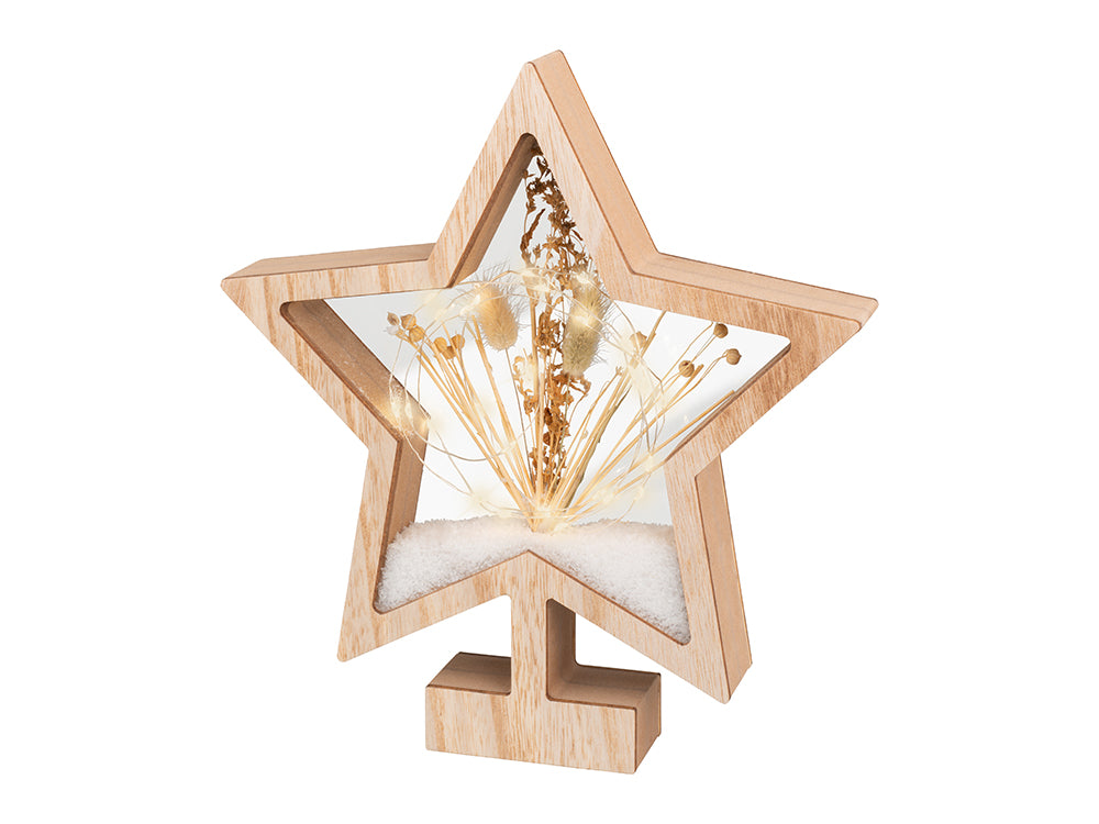 Micro LED Dry Flower Frame, Star