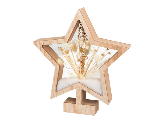 Micro LED Dry Flower Frame, Star