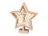 Micro LED Dry Flower Frame, Star