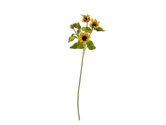Sunflower Stem, Yellow
