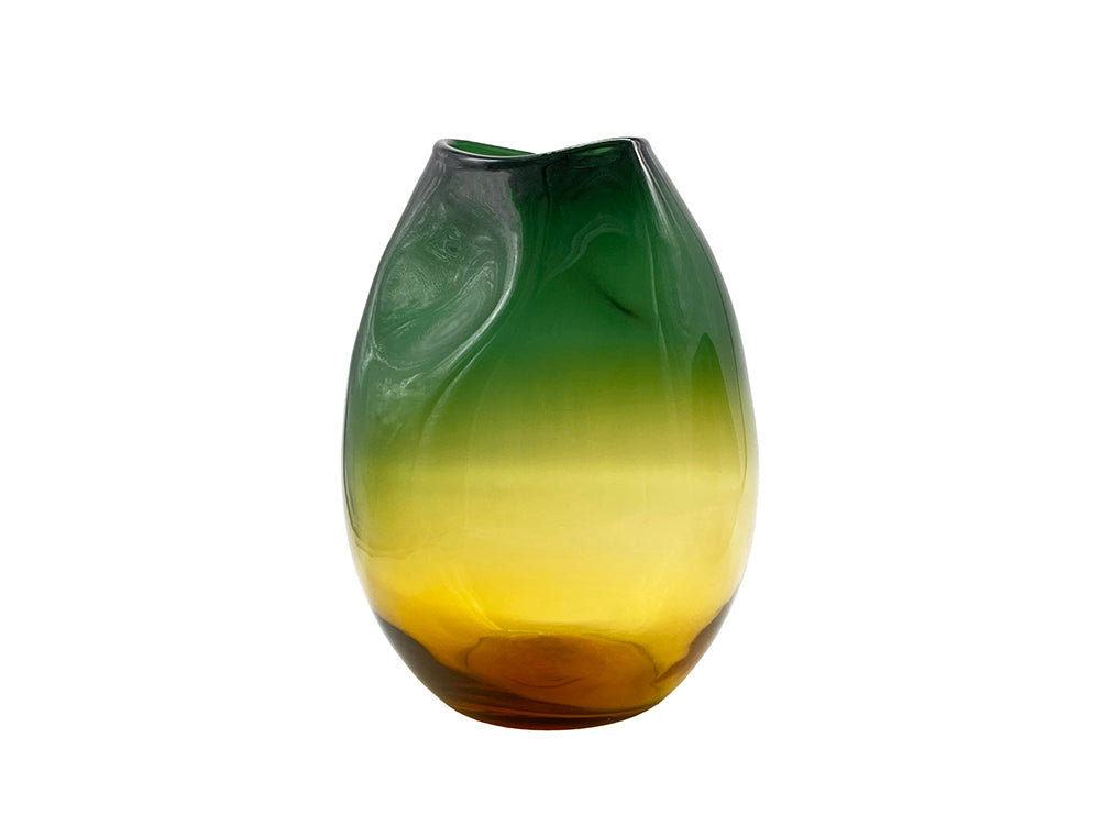 Ravi Vase, Large