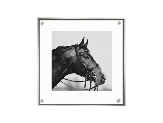 Horse Art Print