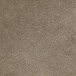 Meg Grey Velvet