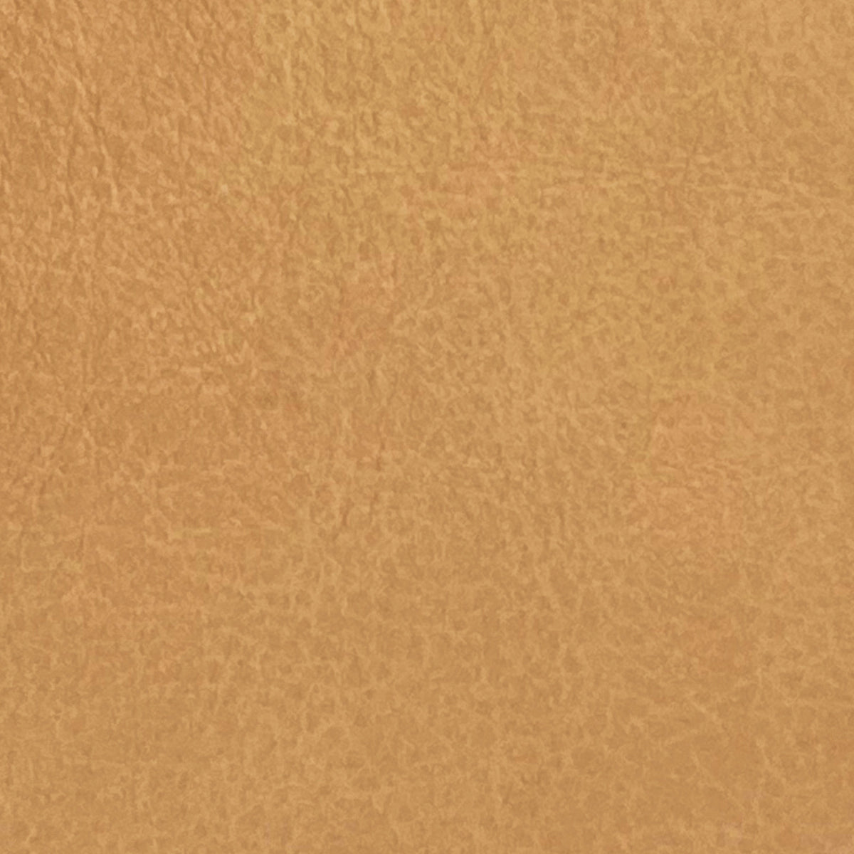 Basel Mini 2.5 Seat Sofa